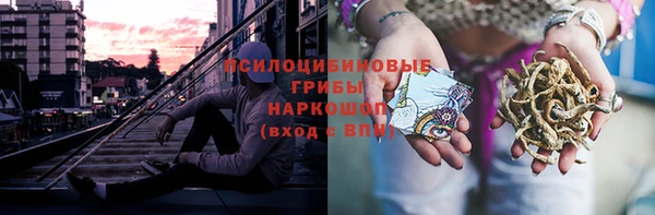 ГАЛЛЮЦИНОГЕННЫЕ ГРИБЫ Алзамай