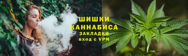 ГАЛЛЮЦИНОГЕННЫЕ ГРИБЫ Алзамай