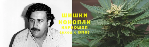ГАЛЛЮЦИНОГЕННЫЕ ГРИБЫ Алзамай