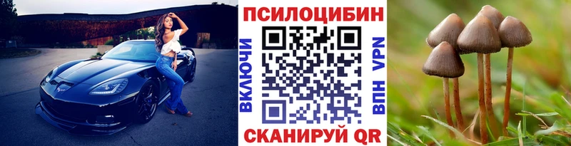 как найти   Алексеевка  Галлюциногенные грибы мицелий 